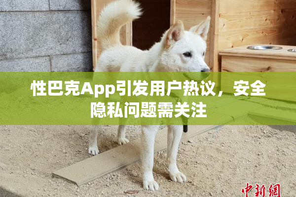 性巴克App引发用户热议，安全隐私问题需关注