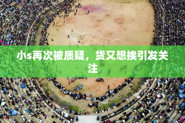 小s再次被质疑，货又想挨引发关注