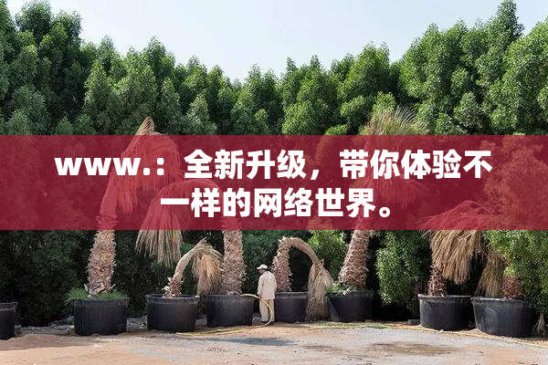 www.：全新升级，带你体验不一样的网络世界。