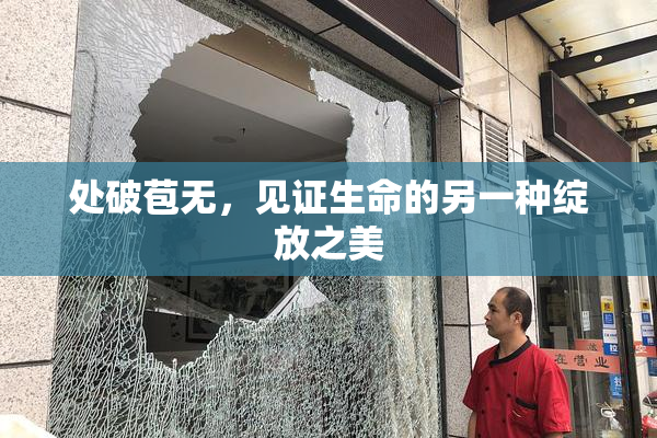 处破苞无，见证生命的另一种绽放之美