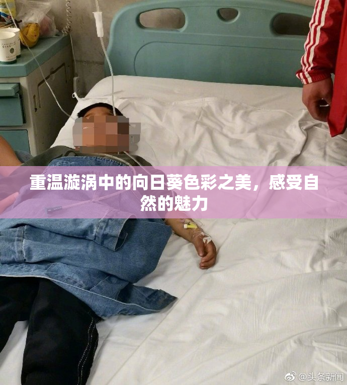 重温漩涡中的向日葵色彩之美，感受自然的魅力
