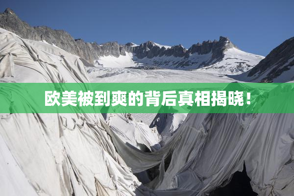 欧美被到爽的背后真相揭晓！