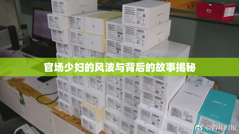 官场少妇的风波与背后的故事揭秘