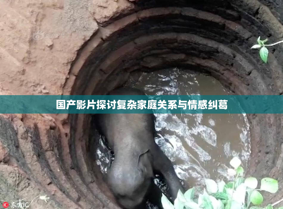 国产影片探讨复杂家庭关系与情感纠葛