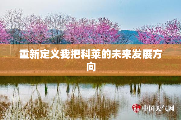 重新定义我把科莱的未来发展方向