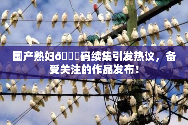 国产熟妇🈚码续集引发热议，备受关注的作品发布！