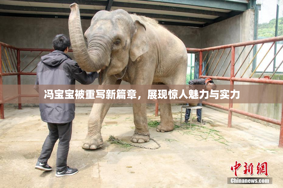 冯宝宝被重写新篇章，展现惊人魅力与实力