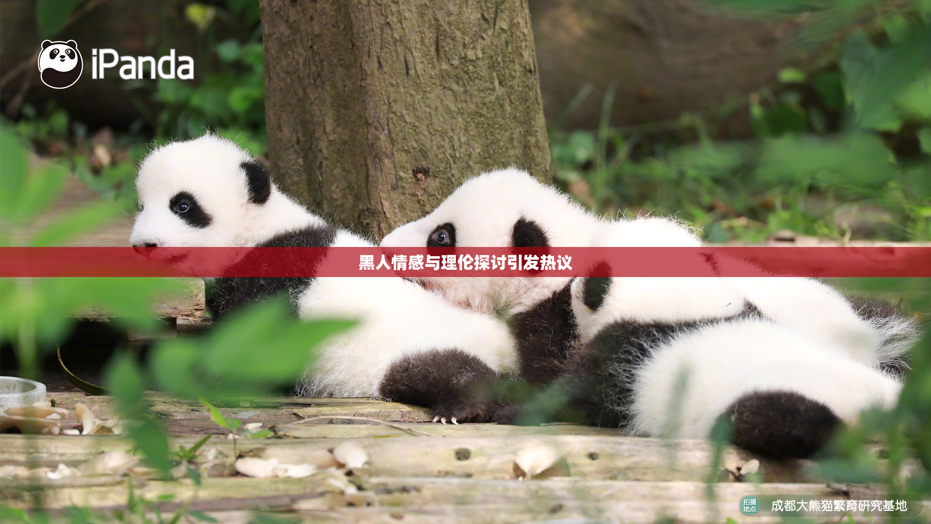 黑人情感与理伦探讨引发热议