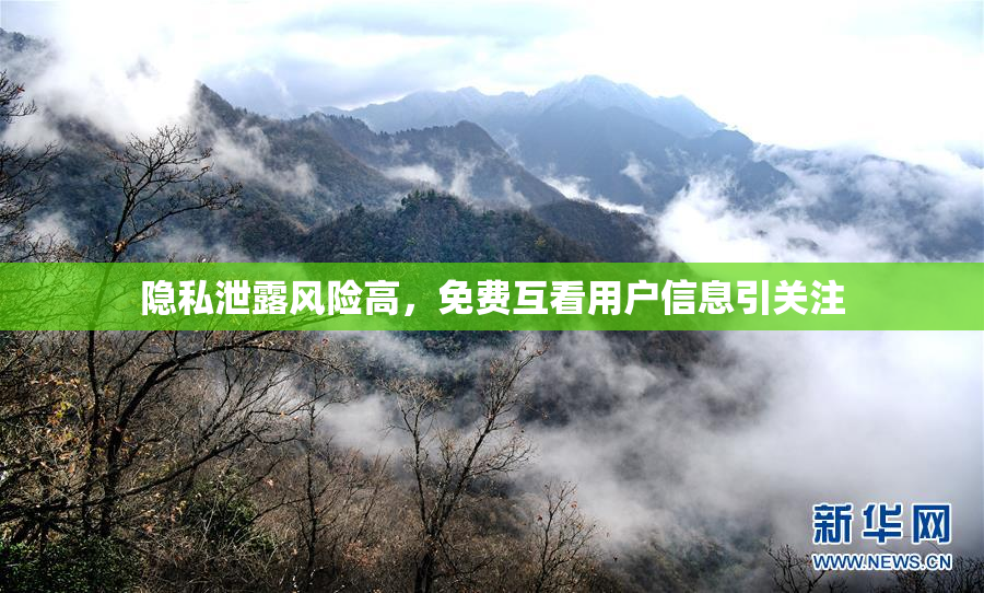 隐私泄露风险高，免费互看用户信息引关注