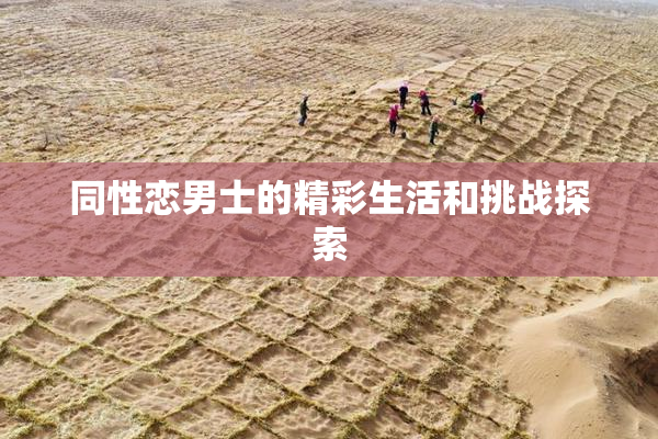 同性恋男士的精彩生活和挑战探索