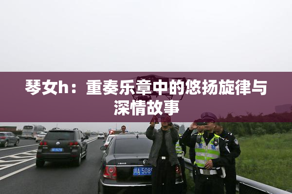 琴女h：重奏乐章中的悠扬旋律与深情故事