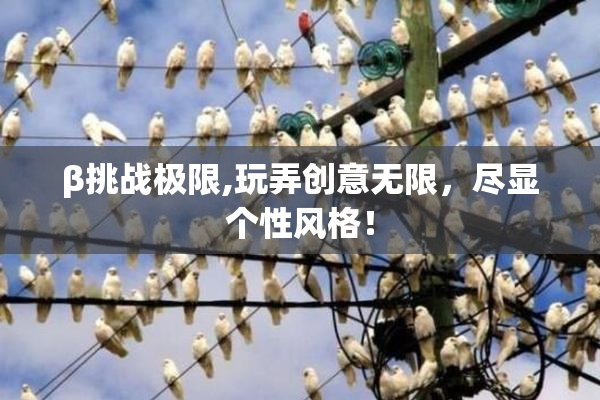 β挑战极限,玩弄创意无限，尽显个性风格！