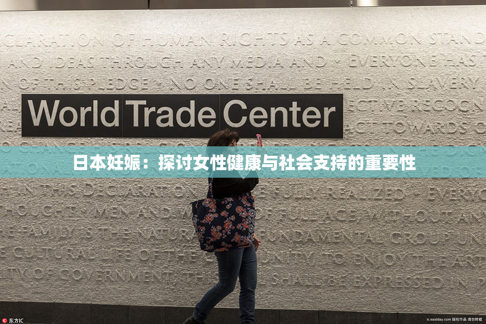 日本妊娠：探讨女性健康与社会支持的重要性