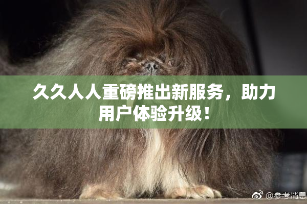 久久人人重磅推出新服务，助力用户体验升级！