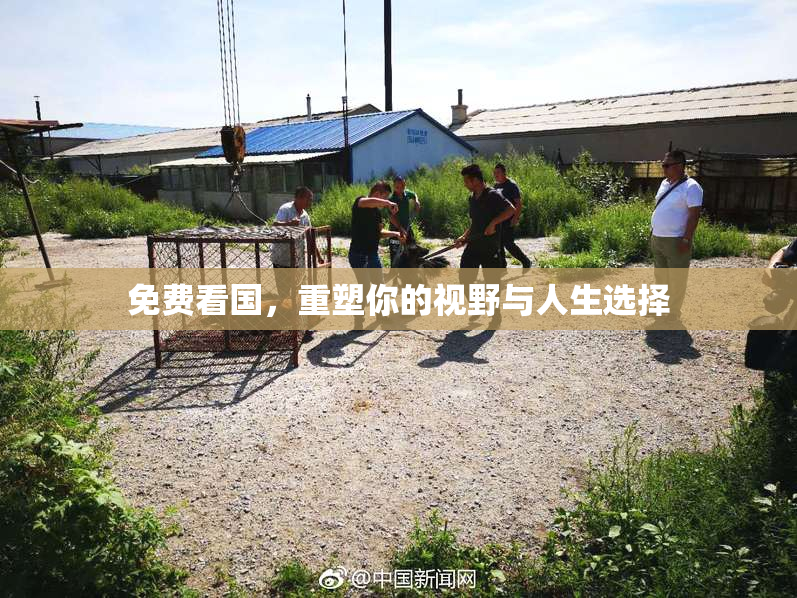 免费看国，重塑你的视野与人生选择