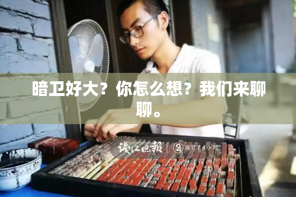暗卫好大？你怎么想？我们来聊聊。