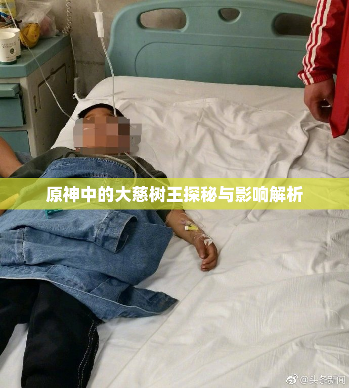 原神中的大慈树王探秘与影响解析