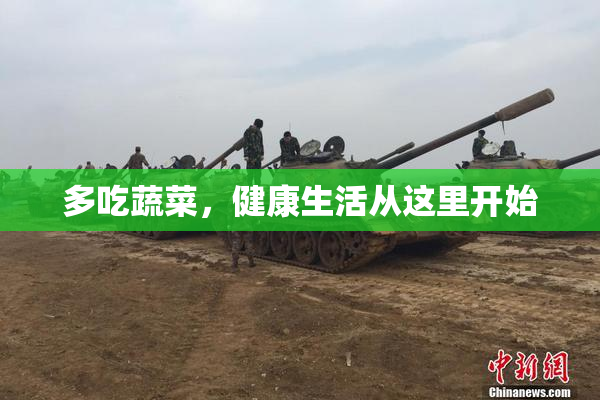多吃蔬菜，健康生活从这里开始
