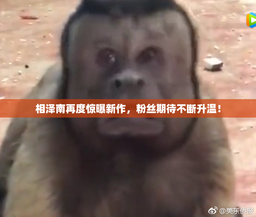 相泽南再度惊曝新作，粉丝期待不断升温！