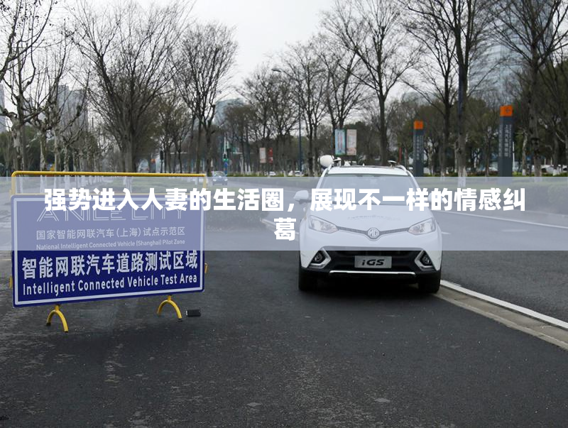 强势进入人妻的生活圈，展现不一样的情感纠葛