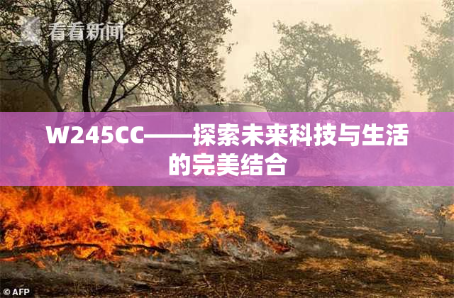 W245CC——探索未来科技与生活的完美结合