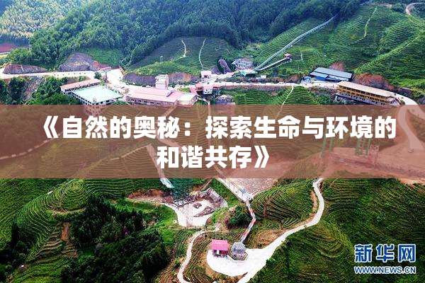 《自然的奥秘：探索生命与环境的和谐共存》
