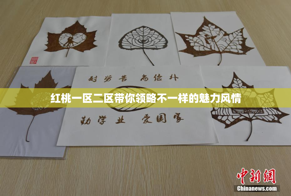 红桃一区二区带你领略不一样的魅力风情