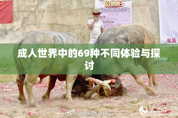 成人世界中的69种不同体验与探讨