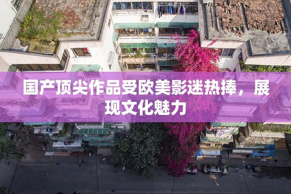 国产顶尖作品受欧美影迷热捧，展现文化魅力