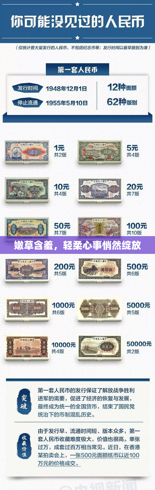 嫩草含羞，轻柔心事悄然绽放