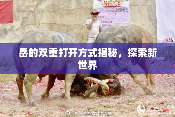 岳的双重打开方式揭秘，探索新世界