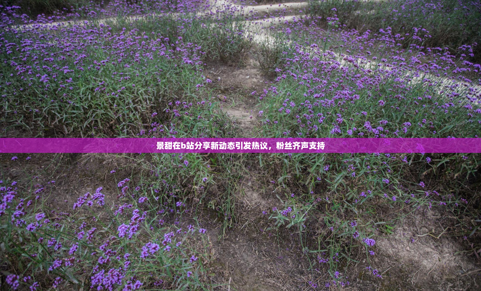 景甜在b站分享新动态引发热议，粉丝齐声支持