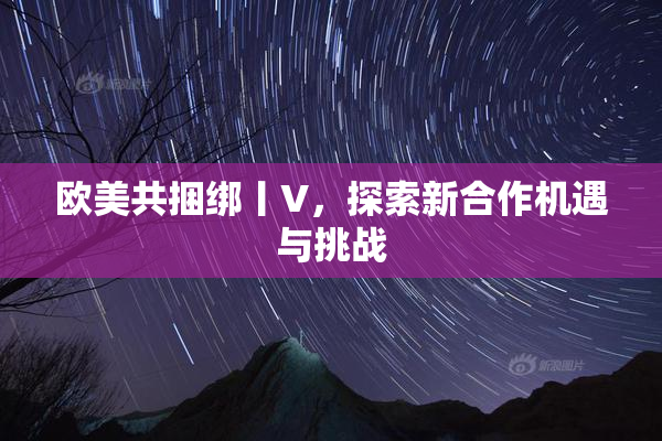 欧美共捆绑丨V，探索新合作机遇与挑战