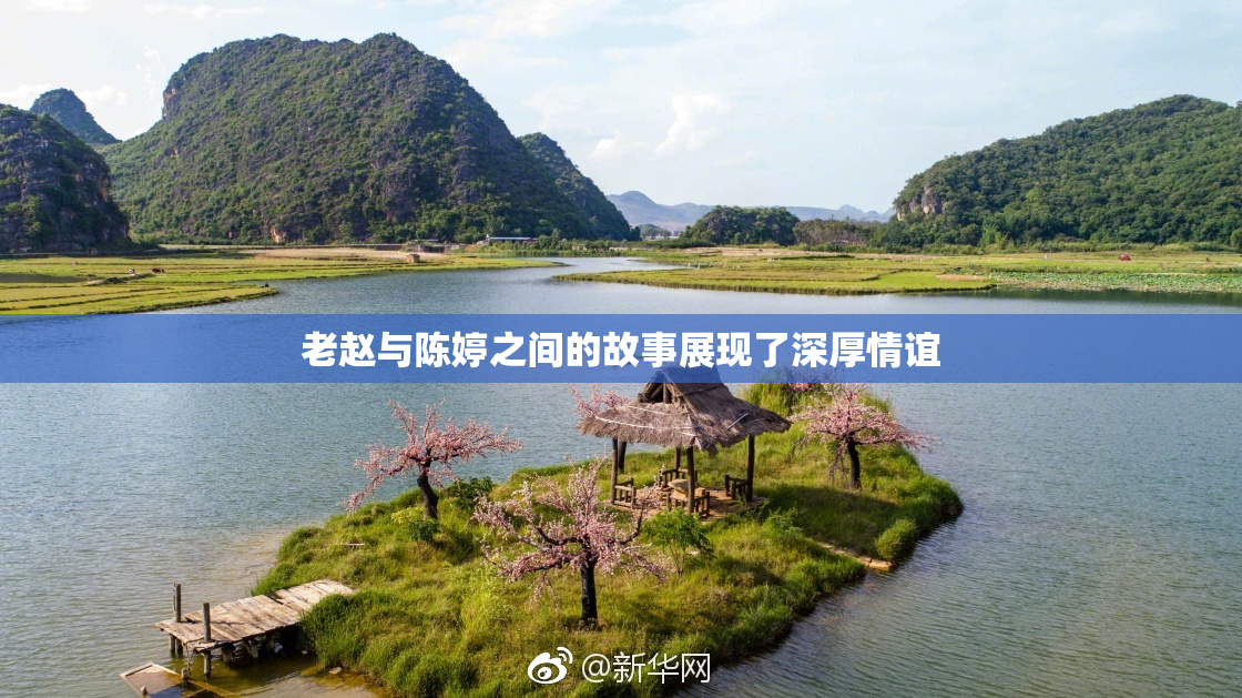 老赵与陈婷之间的故事展现了深厚情谊
