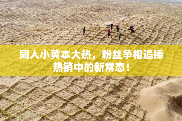 同人小黄本大热，粉丝争相追捧热销中的新常态！