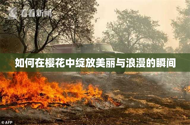 如何在樱花中绽放美丽与浪漫的瞬间