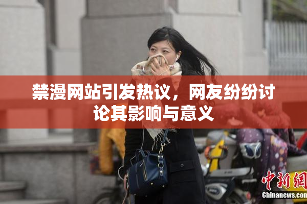 禁漫网站引发热议，网友纷纷讨论其影响与意义