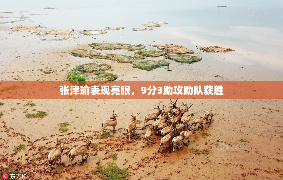 张津瑜表现亮眼，9分3助攻助队获胜