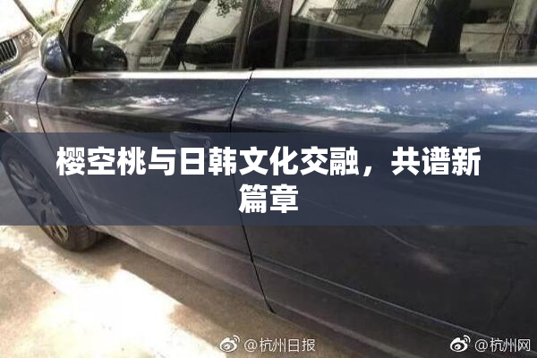 樱空桃与日韩文化交融，共谱新篇章