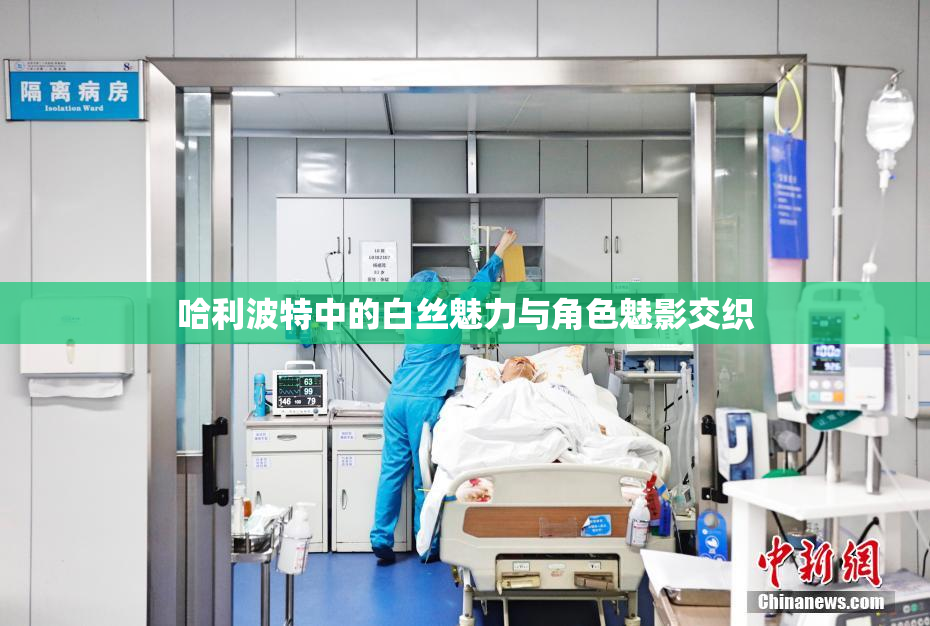 哈利波特中的白丝魅力与角色魅影交织