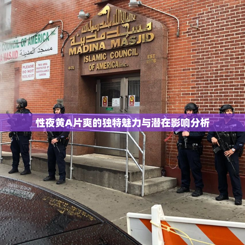 性夜黄A片爽的独特魅力与潜在影响分析