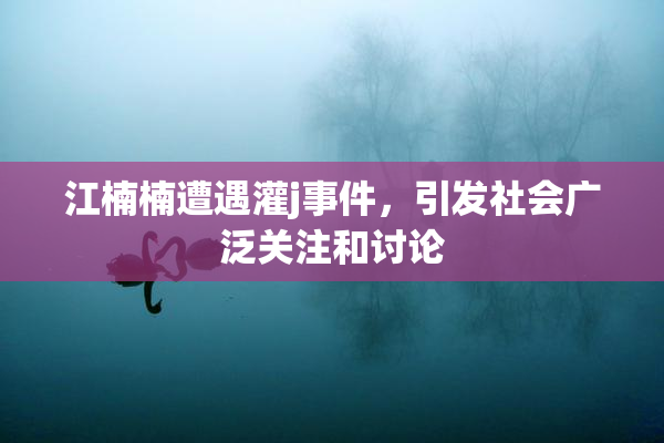 江楠楠遭遇灌j事件，引发社会广泛关注和讨论