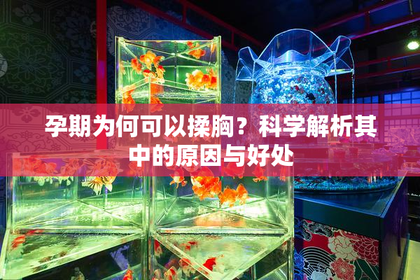 孕期为何可以揉胸？科学解析其中的原因与好处