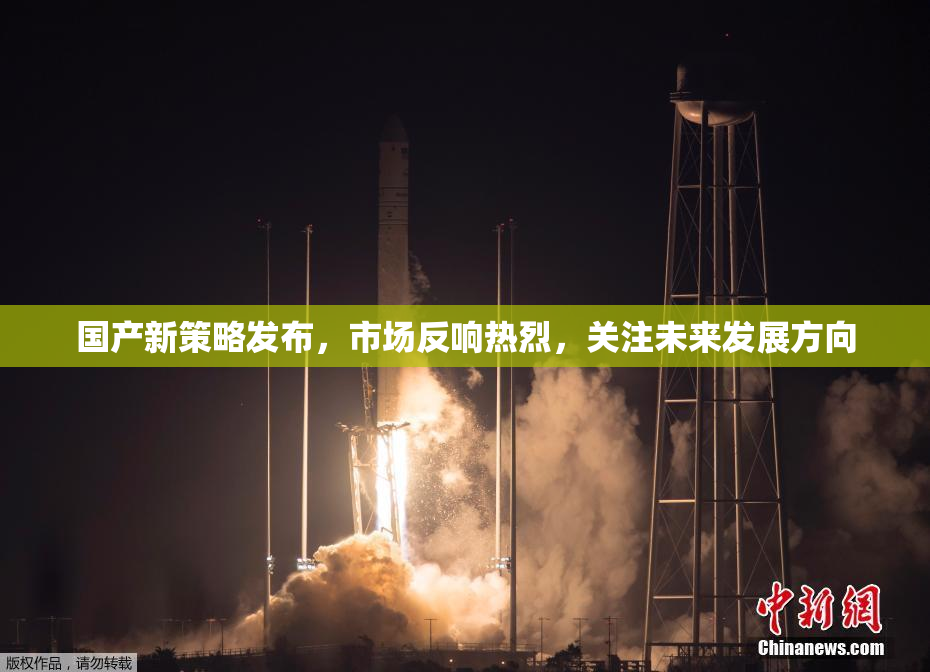 国产新策略发布，市场反响热烈，关注未来发展方向