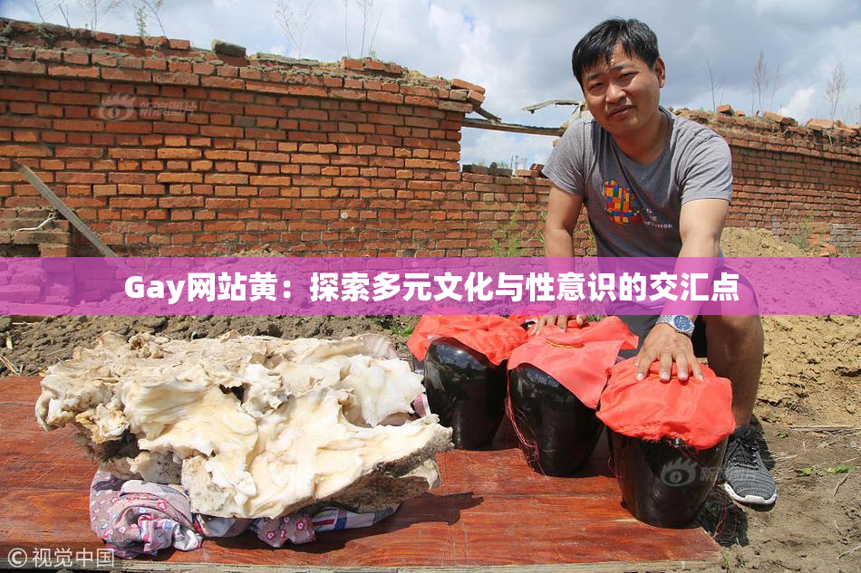 Gay网站黄：探索多元文化与性意识的交汇点