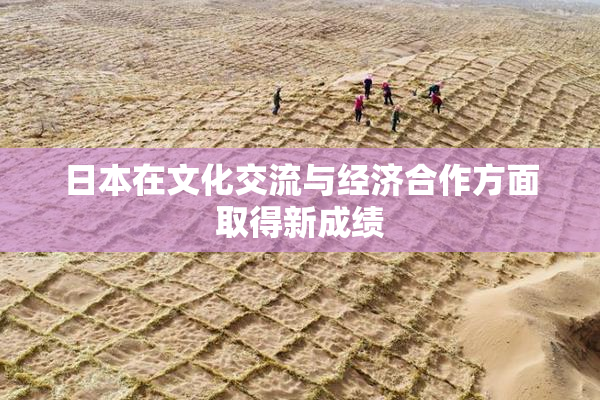 日本在文化交流与经济合作方面取得新成绩