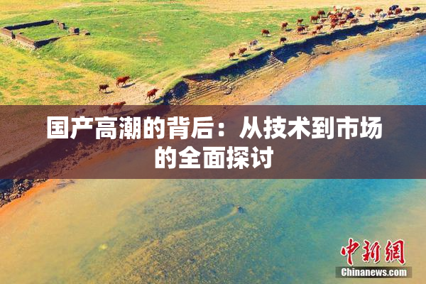 国产高潮的背后：从技术到市场的全面探讨