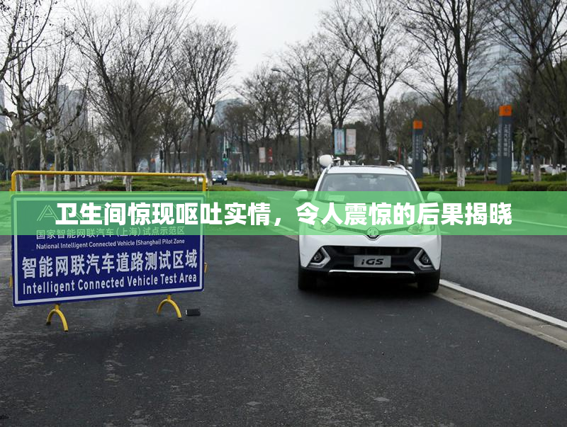 卫生间惊现呕吐实情，令人震惊的后果揭晓