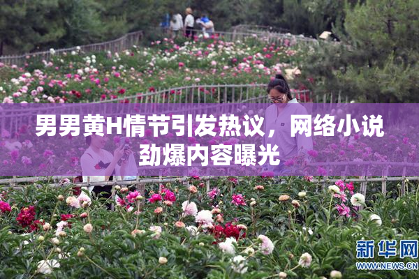 男男黄H情节引发热议，网络小说劲爆内容曝光