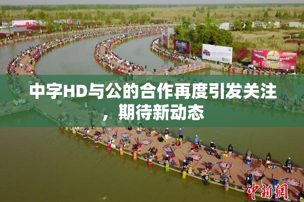 中字HD与公的合作再度引发关注，期待新动态